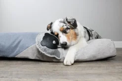 New D&D Home Bobo Grey Oxford 18x19 cm - hundelegetøj med pivelyd og TPR Hundelegetøj Til Alle Hunde Leg Og Aktivering Året Rundt|Legetøj Til Hvalpe - Sjov Leg, Aktivering Og Tryghed Fra Første Dag