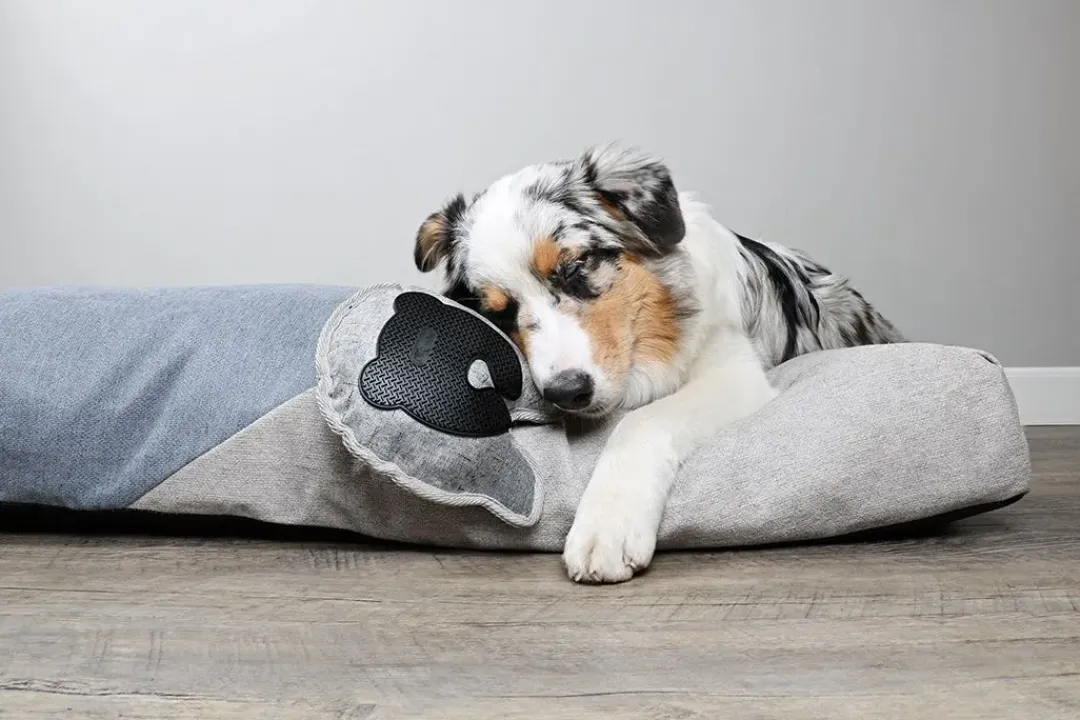 New D&D Home Bobo Grey Oxford 18x19 cm - hundelegetøj med pivelyd og TPR Hundelegetøj Til Alle Hunde Leg Og Aktivering Året Rundt|Legetøj Til Hvalpe - Sjov Leg, Aktivering Og Tryghed Fra Første Dag