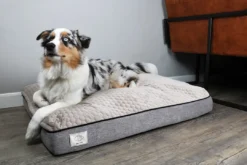 New D&D Home Celia hundeseng Taupe medium 100x75x15 cm Hundesenge Og Kurve Til Hunde - Bløde Og Komfortable|Sovepladser Til Hvalpe - Hundesenge, Kølemåtter Og Trygge Hvilesteder