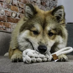 New D&D Home Kurt 36 cm Natur Knudereb 10 mm - hundelegetøj Hundelegetøj Til Alle Hunde Leg Og Aktivering Året Rundt|Legetøj Til Hvalpe - Sjov Leg, Aktivering Og Tryghed Fra Første Dag