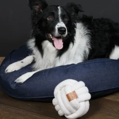 Best D&D Home Skip Ball L 15 cm Natur Knudereb 18 mm - hundelegetøj Hundelegetøj Til Alle Hunde Leg Og Aktivering Året Rundt|Legetøj Til Hvalpe - Sjov Leg, Aktivering Og Tryghed Fra Første Dag