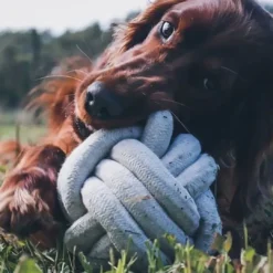 D&D Home Skip Ball L 15 cm Sort Knudereb 18 mm - hundelegetøj Hundelegetøj Til Alle Hunde Leg Og Aktivering Året Rundt|Legetøj Til Hvalpe - Sjov Leg, Aktivering Og Tryghed Fra Første Dag