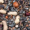 Online Greenline Nut Mix - Egernfoder 500 g Foder & Snack Til Gnavere & Kanin