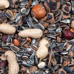 Online Greenline Nut Mix - Egernfoder 500 g Foder & Snack Til Gnavere & Kanin