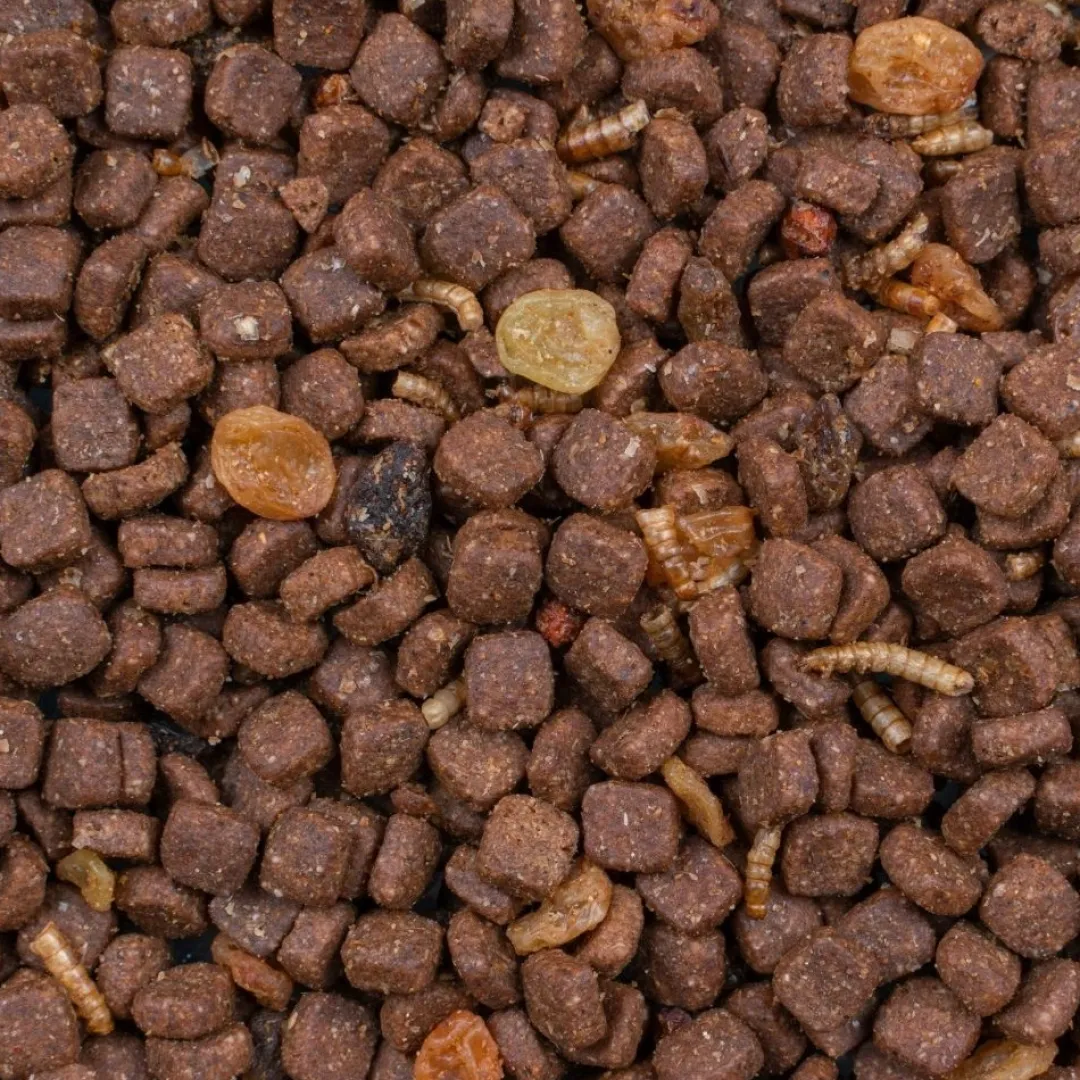 Best Greenline Pindsvinfoder 600 g - Naturligt & energirigt foder til havens pindsvin Foder & Snack Til Gnavere & Kanin
