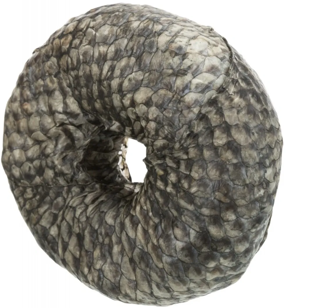 Best Denta Fun Tyggering med Fisk Ø 10 cm - sund hundesnack Snacks Til Hvalpe - Lækre Godbidder Til Træning Og Forkælelse|Hundeguf Og Tyggeben Til Hunde