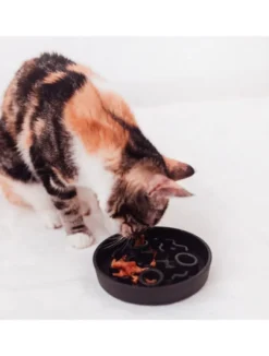 Best Bambus Katte foderskål Slow Feeder Dark grey Mad- Og Vandskåle Til Katte