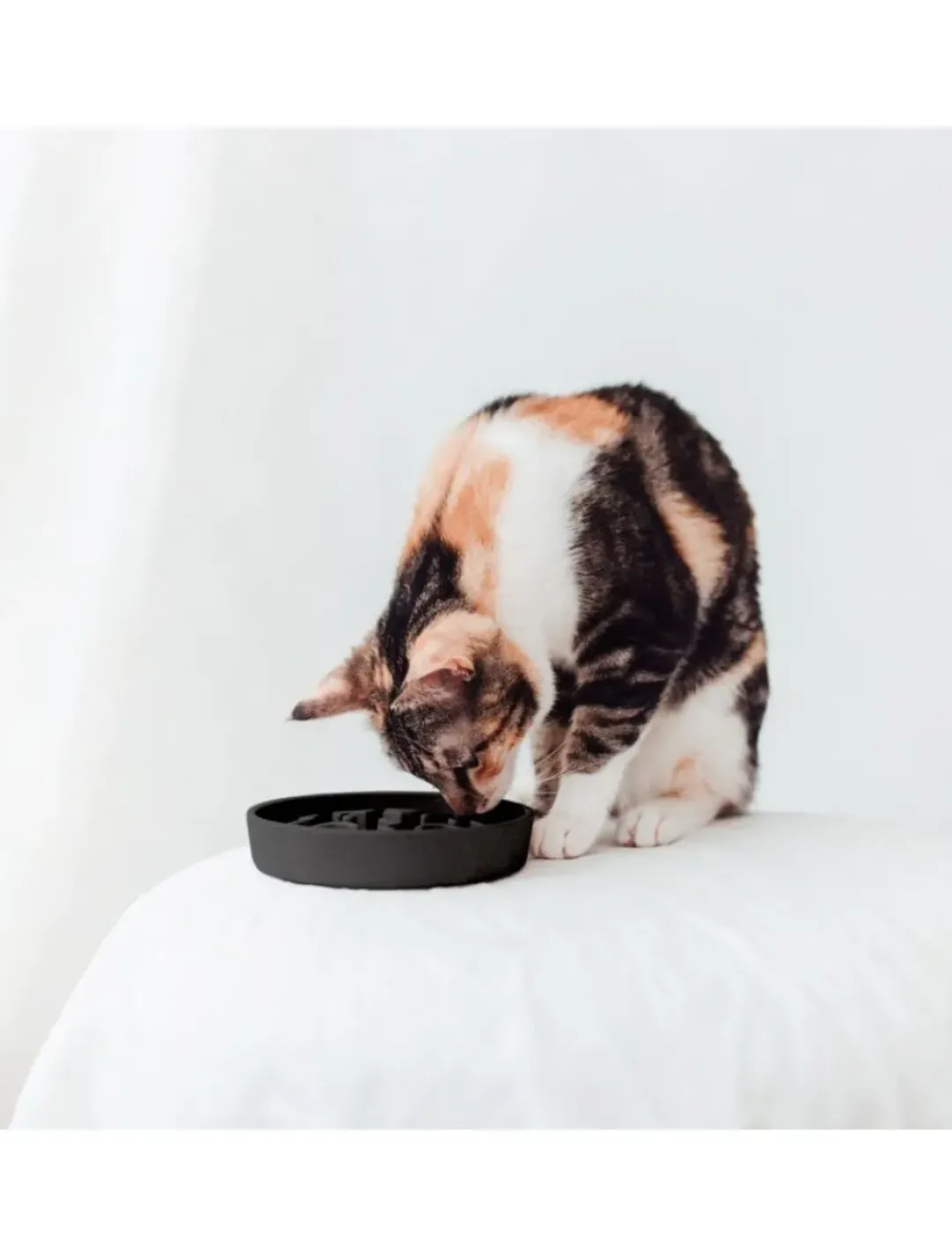 Best Bambus Katte foderskål Slow Feeder Dark grey Mad- Og Vandskåle Til Katte