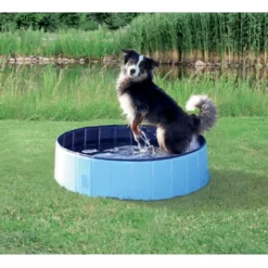 Dog Pool 80 x 20cm i lyse blå Hundetilbehør Til Hvalpe - Tryg Start I Hverdagen|Tilbehør Til Hund - Alt Til En Glad Og Tryg Hverdag For Din Bedste Ven