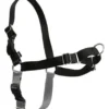 Sale Easy Walk Hundesele Sort XS - Bryst 15-17,5 cm Hundeseler Til Alle Behov Og Hundestørrelser