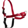 Sale Easy Walk Hundesele S Rød - Bryst 21,5-28 cm Hundeseler Til Alle Behov Og Hundestørrelser