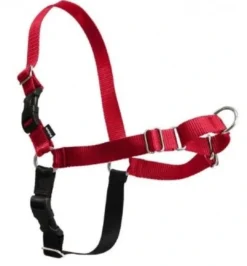 Discount Easy Walk Hundesele XS Rød - Bryst 15-17,5 cm Hundeseler Til Alle Behov Og Hundestørrelser