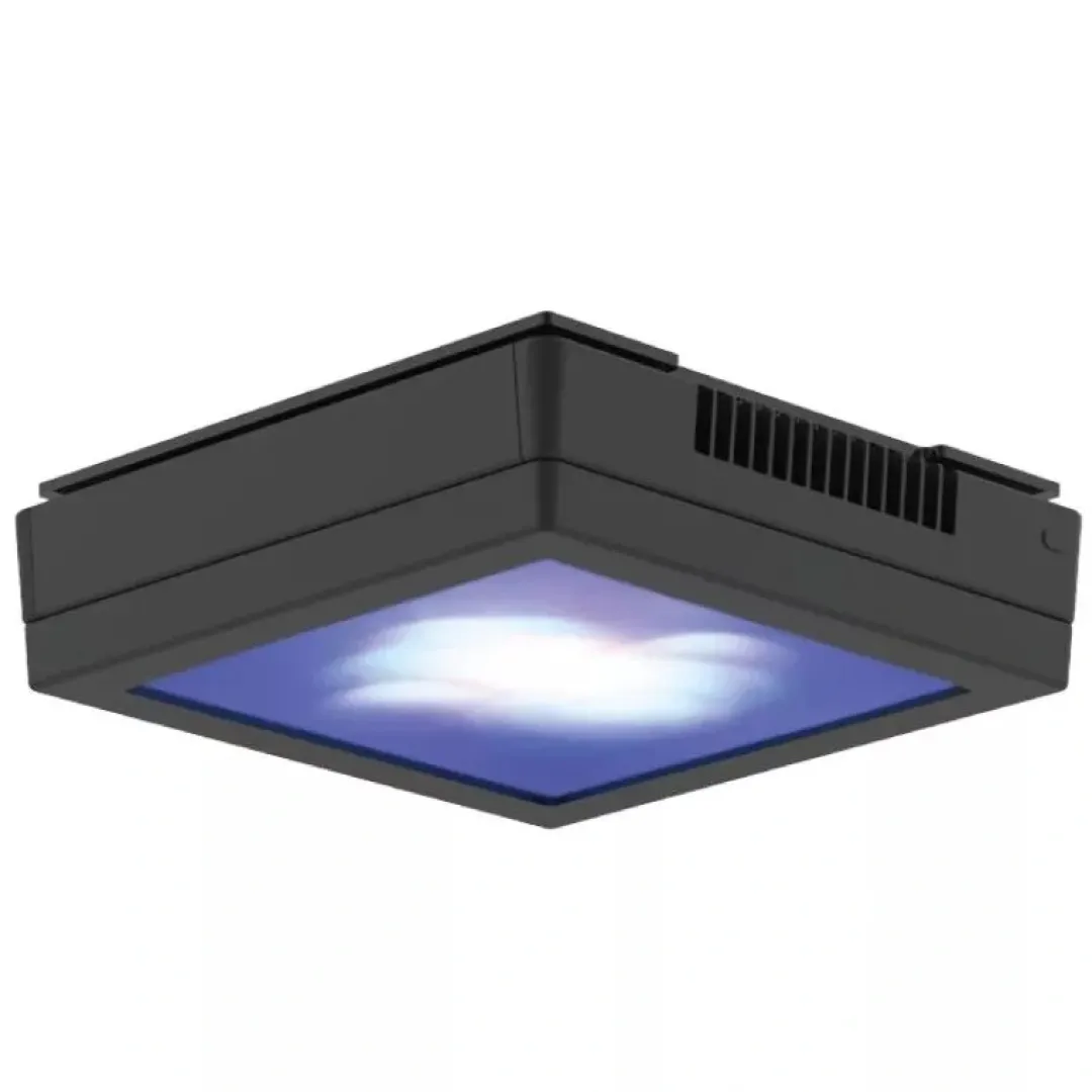 New Diffuser for Led Radion XR15 G5 lampe Lamper Til Saltvandsakvarier|Akvarielamper