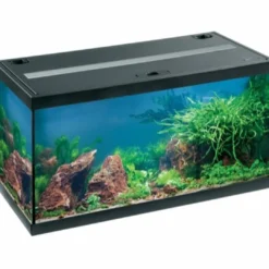 Sale Startersæt aquastar 66 L sort Akvarier