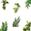 Clearance Exo Terra Abuliton medium Terrarieplanter