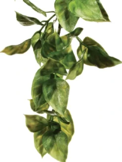 Online Exo Terra Amapallo lille Terrarieplanter