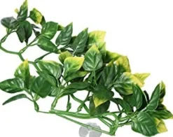 Online Exo Terra Amapallo lille Terrarieplanter