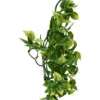 Exo Terra Amapallo medium Terrarieplanter
