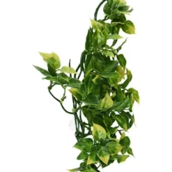 Exo Terra Amapallo medium Terrarieplanter