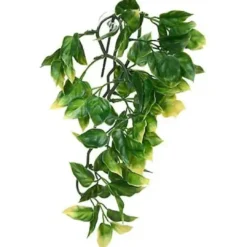Exo Terra Amapallo medium Terrarieplanter