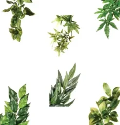 Best Exo Terra Amapallo stor Terrarieplanter