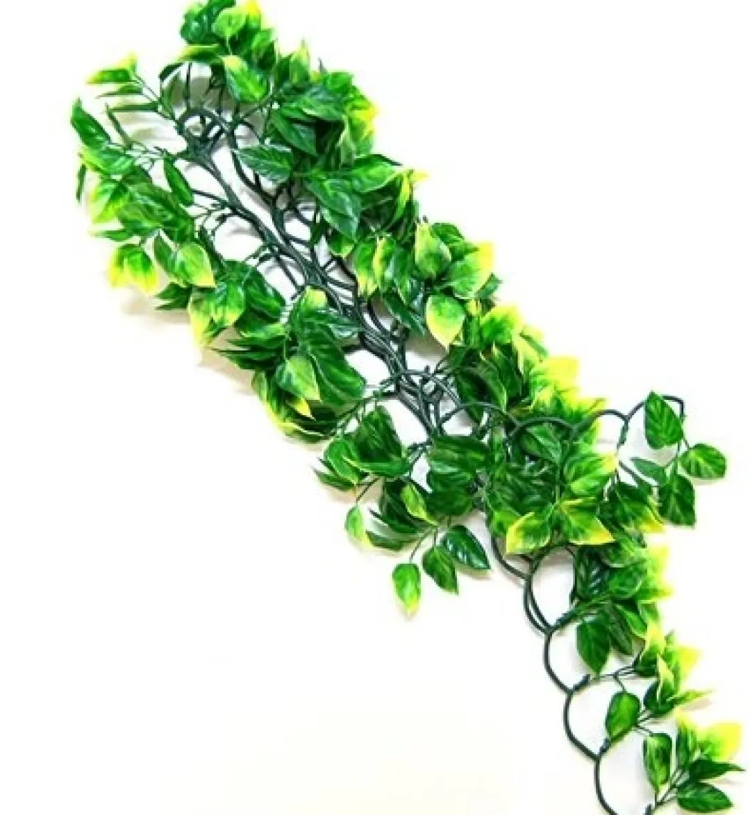 Best Exo Terra Amapallo stor Terrarieplanter