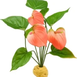 Clearance Exo Terra Anthurium bush Terrarieplanter