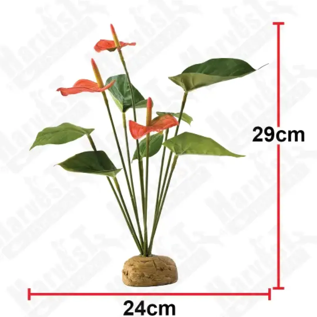 Clearance Exo Terra Anthurium bush Terrarieplanter