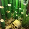 New Bamboo Terrarium 30x30x45 cm 40 Liter Terrarier Og Terrarielamper