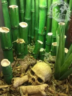 New Bamboo Terrarium 30x30x45 cm 40 Liter Terrarier Og Terrarielamper