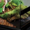Clearance Exo Terra Bio Drain Substrat 2 kg Dekoration Til Terrarier