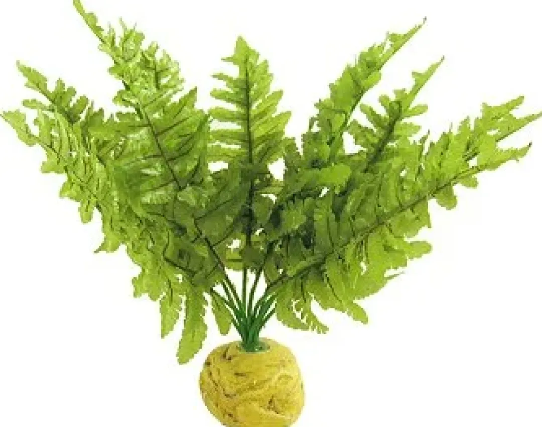 Outlet Exo Terra Boston Fern (lille) Terrarieplanter