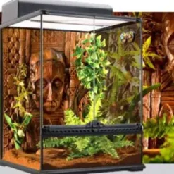 Online Exo Terra Boston Fern (medium) Terrarieplanter