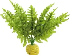 Online Exo Terra Boston Fern (medium) Terrarieplanter