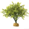 Discount Exo Terra Boxwood bush Terrarieplanter