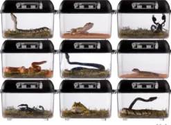 Online Exo Terra Breeding box (lille) Terrarier Og Terrarielamper