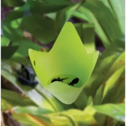 New Exo Terra Bromelia Medium Terrarieplanter