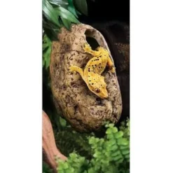 Clearance Exo Terra Canopy Cave Dekoration Til Terrarier