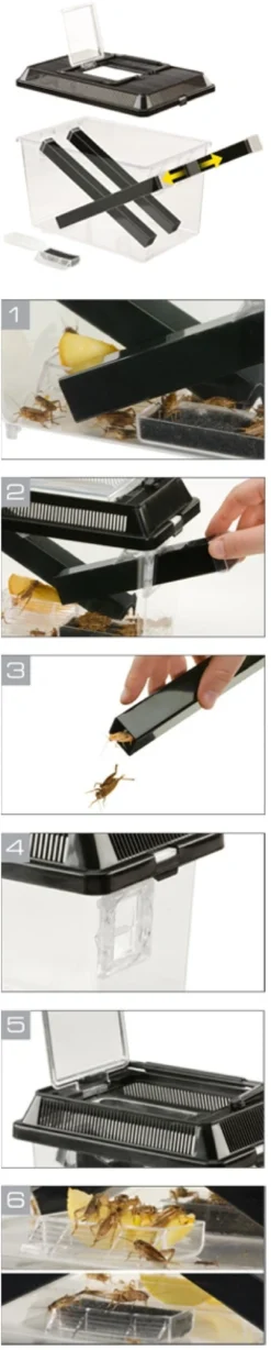 Best Exo Terra Cricket Pen lille Terrarier Og Terrarielamper
