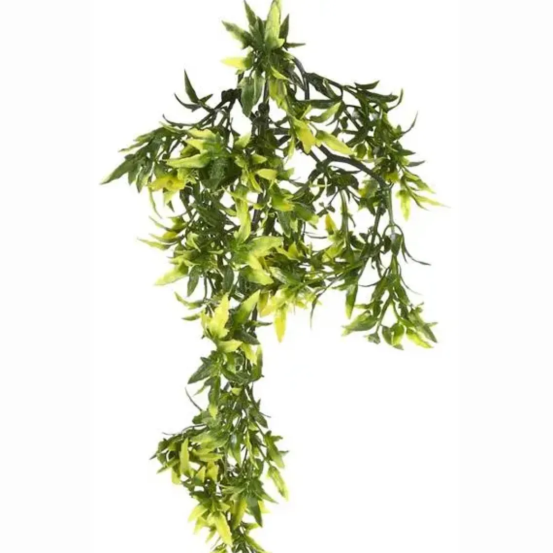 Exo Terra Croton medium Terrarieplanter