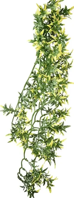Clearance Exo Terra Croton stor Terrarieplanter