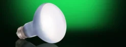 Discount Exo Terra Day Glo Spot 25 watt med UVA Terrarielysstofrør, Pærer Og Varme
