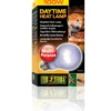Exo Terra Day Glo 100 watt A21 med UVA Terrarielysstofrør, Pærer Og Varme