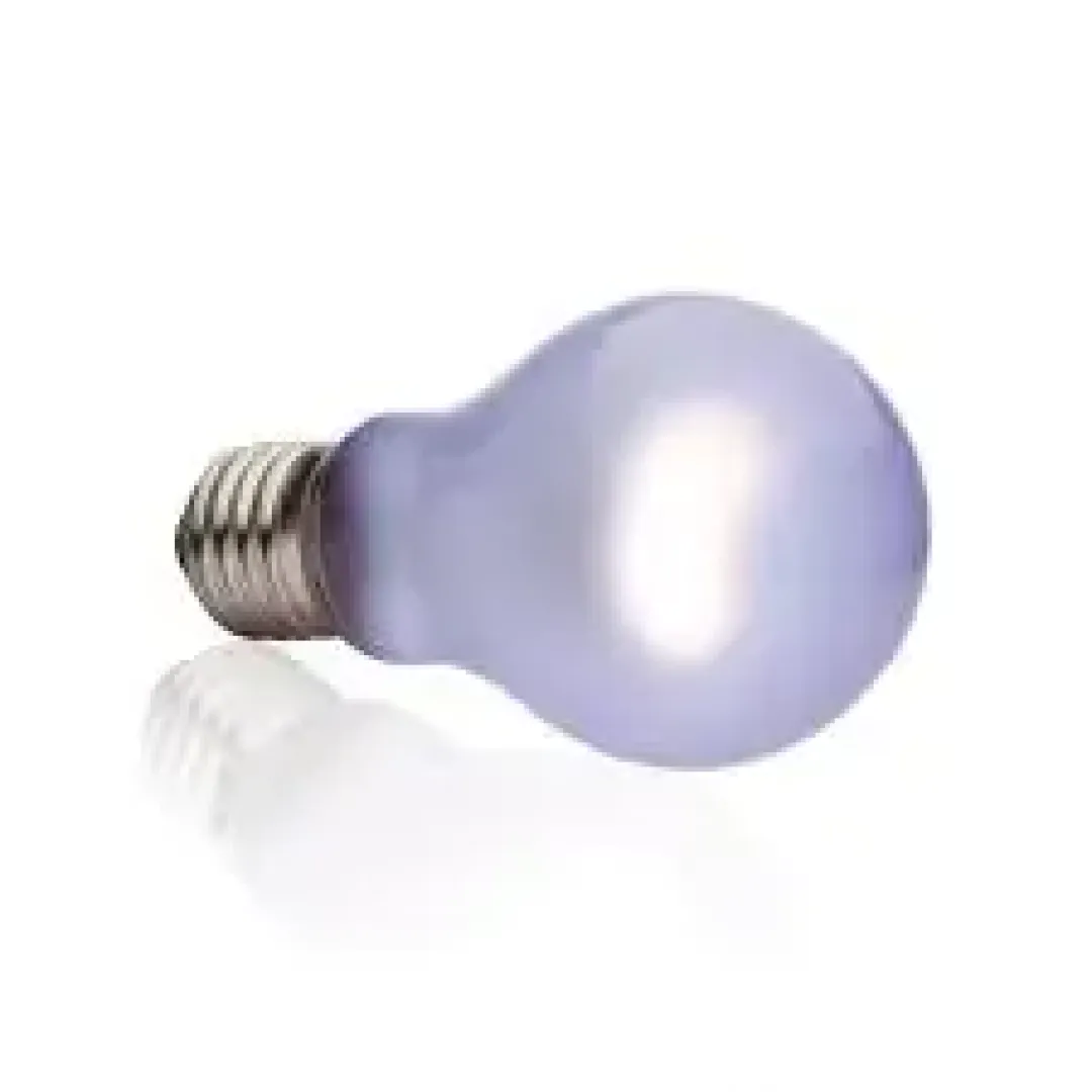 Discount Exo Terra Day Glo 150 watt A21 med UVA Terrarielysstofrør, Pærer Og Varme
