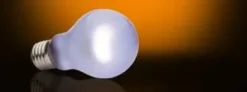 Outlet Exo Terra Day Glo 60 watt med UVA Terrarielysstofrør, Pærer Og Varme