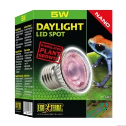 Discount Daylight Led Spot Nano 5 Watt Terrarielysstofrør, Pærer Og Varme