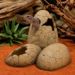 Discount Exo Terra Dinosaur Æg Lille Huler Til Terrarier