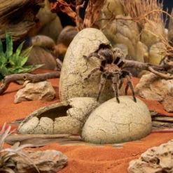 Discount Exo Terra Dinosaur Æg Lille Huler Til Terrarier