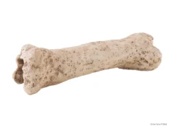 Best Exo Terra Dinosaur knogle lille Huler Til Terrarier
