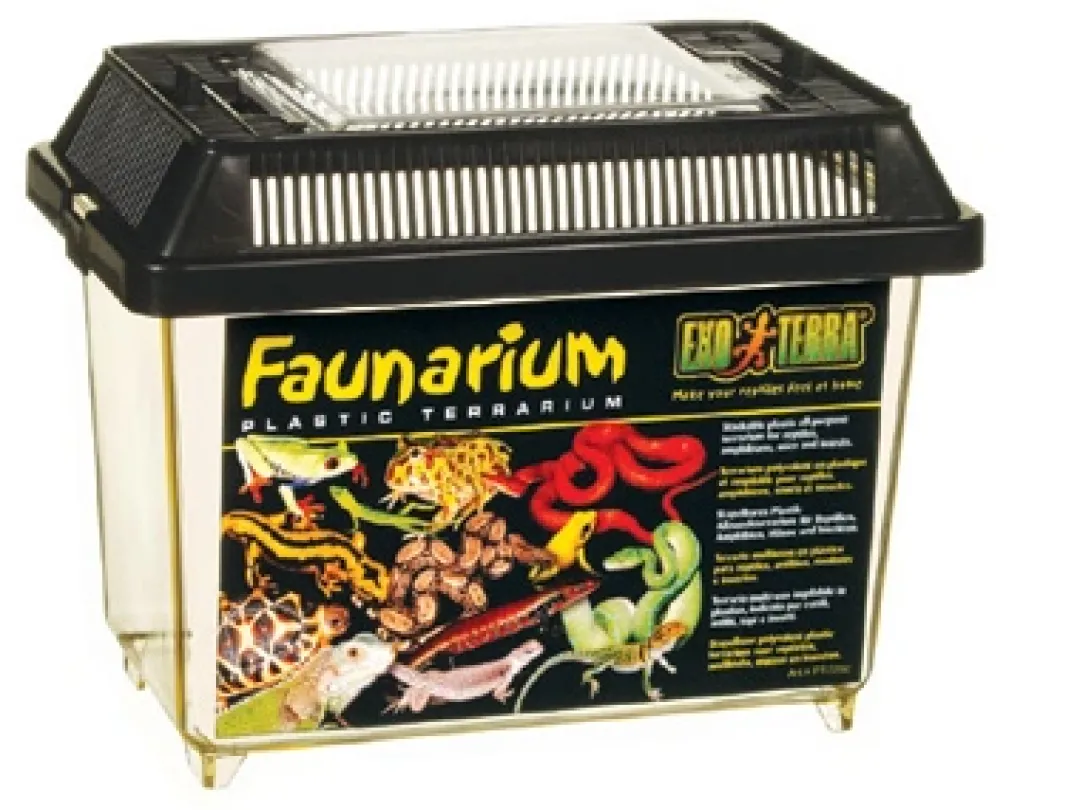 Online Exo Terra Faunarium mini (HPT2250) Terrarier Og Terrarielamper